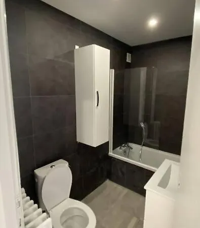 Apartment « le Scandinave » T2 Wifi, Terrasse Et Parking Thonon-les-Bains